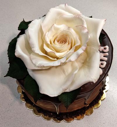 Rose - white chocolate - Cake by Majka Maruška