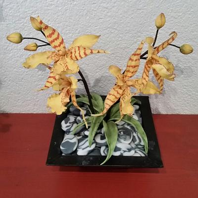 Orchid... - Cake by Weys Cakes