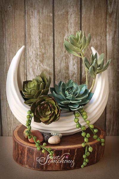 Succulents - Cake by Sweet Symphony