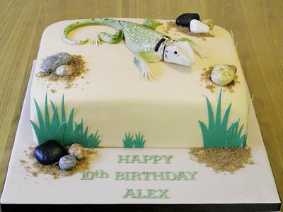 Collared Lizard - Cake by SOH