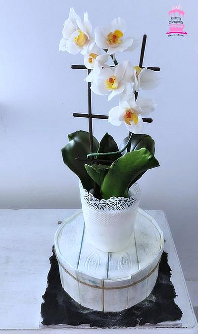 Orchid - Cake by danadana2