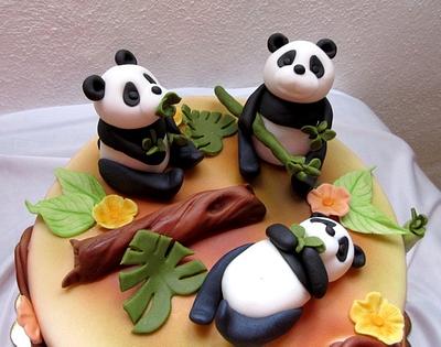 Three pandas - Cake by Stániny dorty