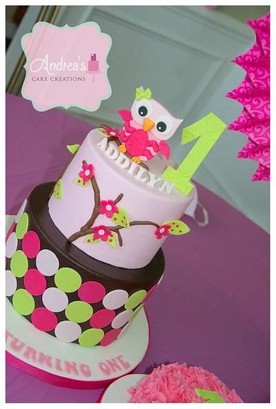 First Birthday Owl Cake - Cake by Andrea'sCakeCreations