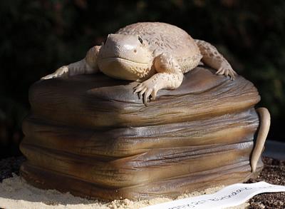 Reptile on a Rock - Cake by kingfisher