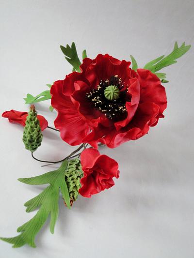 Poppies - Cake by Jeanette