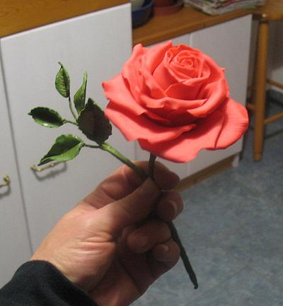 My first rose on wires - Cake by Alena