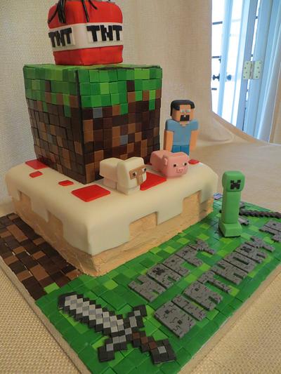 Mine Craft Cake for Icing Smiles - Cake by Cabana Cakery