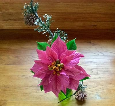 Pink poinsettia and pine cones - Cake by Goreti