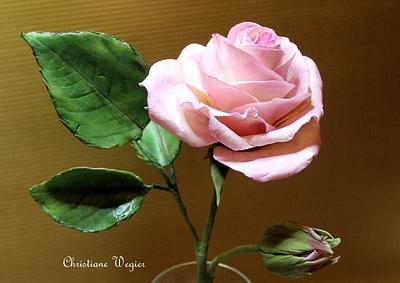 Roses - Cake by christiane