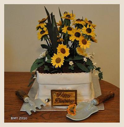 Black Eyed Susan Flower Pot Cake - Cake by Bobie MT