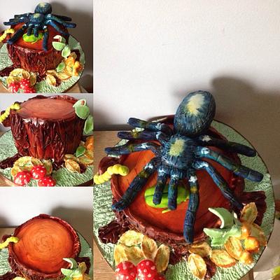 peacock parachute spider! - Cake by Lorna