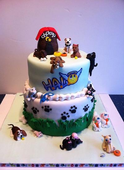 HALO Pet Rescue 7th Anniversary - Cake by Bonnie Carmine