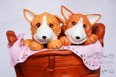 Corgi puppies in a Basket - Cake by Love Blossoms Cakery- Jamie Moon