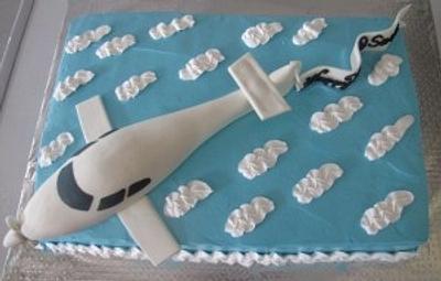 Aeroplane Cake - Cake by Rohan