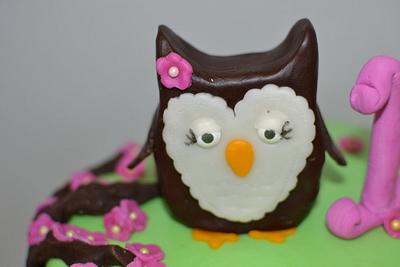 Owl 1st Birthday Cake + Smash Cake! - Cake by CrystalMemories