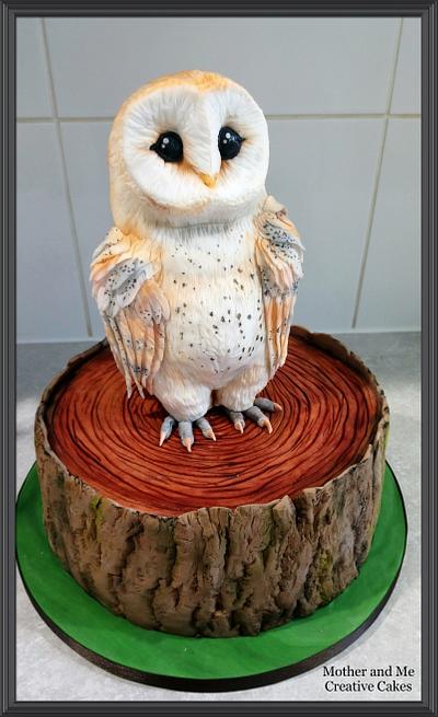 Owl Cake - Cake by Mother and Me Creative Cakes