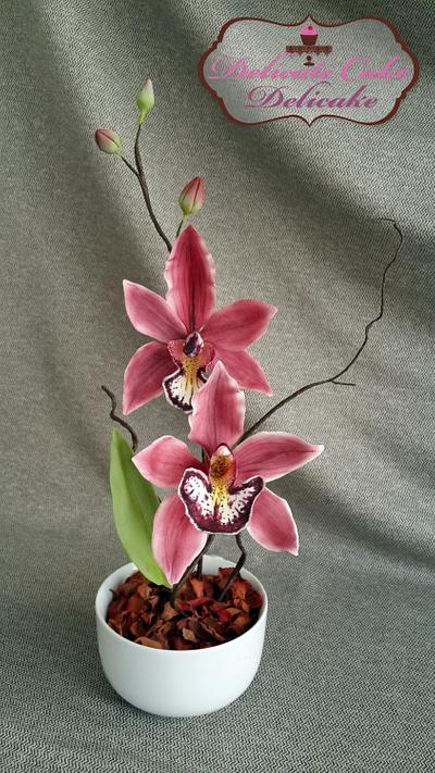 Cymbidium Orchid - Cake by Yomna Elazawy