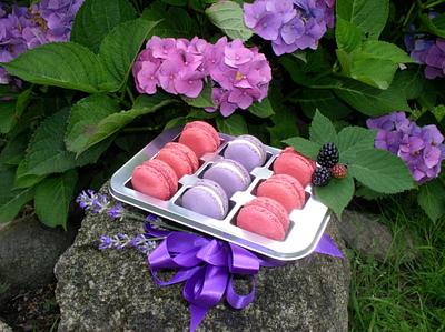Macarons - lavender, blackberry - Cake by Petraend