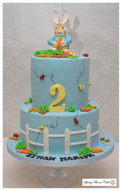 Peter Rabbit cake - Cake by Spring Bloom Cakes