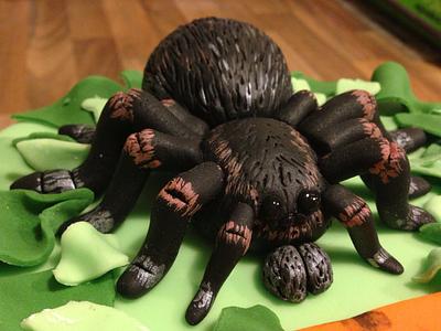 Tarantula deadly 60 cake - Cake by The Rosebud Cake Company