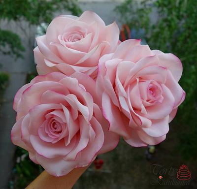 Pink Sugar Roses - Cake by Torty Katulienka