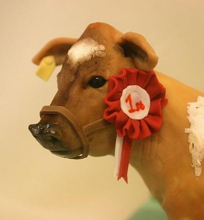 Prize Cow - Cake by Constance Grindrod