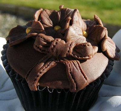 Chocolate cupcake. - Cake by Shirley Jones 