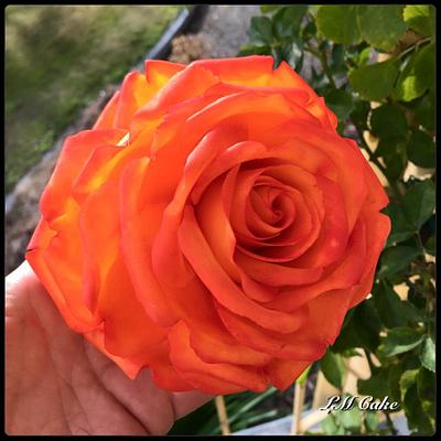 Large orange and Red tipped Feature Sugar rose - Cake by Lisa Templeton