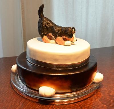 Bernese Mountain Dog cake - Cake by Klimbim