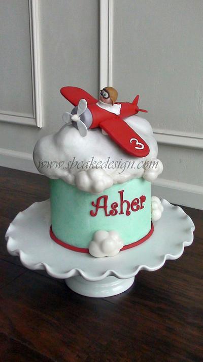 Airplane Birthday Cake - Cake by Shannon Bond Cake Design