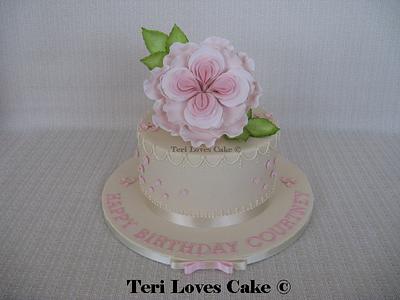 Ivory English Rose Cake - Cake by MsGF