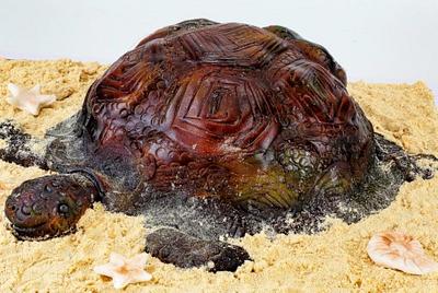 The Tortoise - Cake by Seema Bagaria