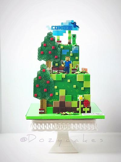 Minecraft for Make-a-Wish - Cake by Dozycakes