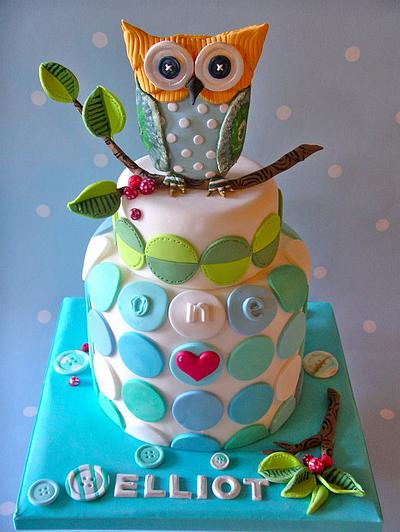 An Owl cake for Elliot - Cake by Lynette Horner