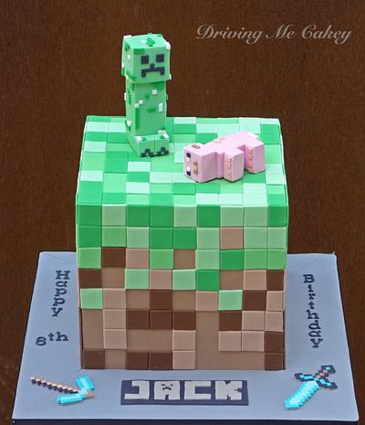 Minecraft Block Cake - Cake by Jaymie