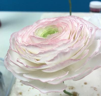 Ranunculus  - Cake by Grazie cake and sugarcraft studio