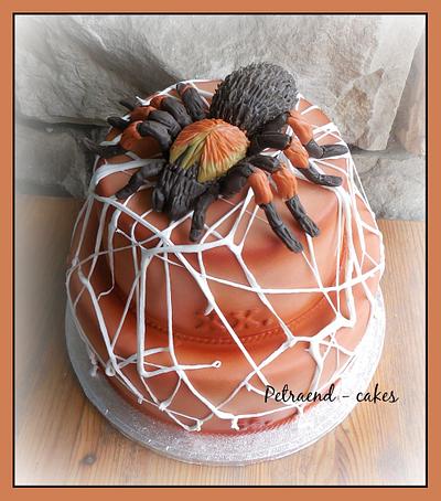 Spider - Brachypelma emilia - Cake by Petraend