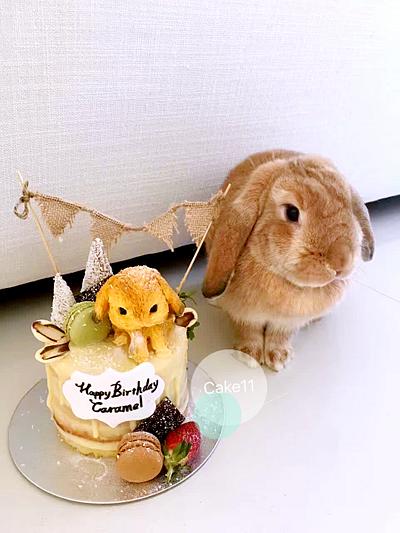 Cake for birthday rabbit  - Cake by Cake11