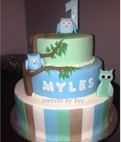 Owl theme - Cake by Bec
