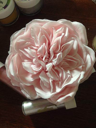 David Austin Style Sugar rose - Cake by Lisa Templeton