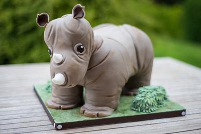 Baby Rhino - Cake by Debs Makes Cakes