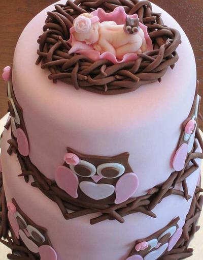 My Owl Baby Shower Cake - Cake by Shawna