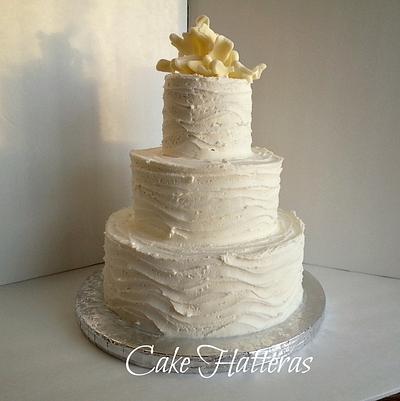 Coral - Cake by Donna Tokazowski- Cake Hatteras, Martinsburg WV