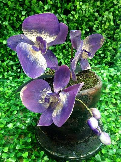 Flower pot orchid - Cake by Daniel Guiriba