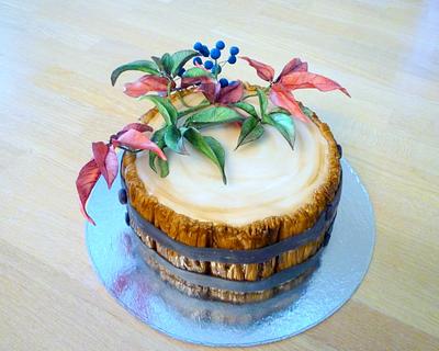 Autumn inspiration  - Cake by Janka