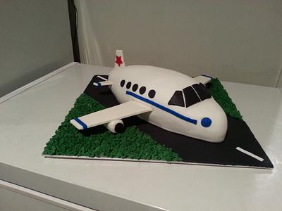 Aeroplane - Cake by Lisa