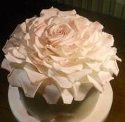 torta rosa - Cake by pointanna