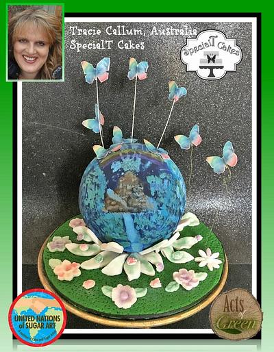 Earth,Mountains,Water --- Acts of Green - UNSA 2016  - Cake by  SpecialT Cakes - Tracie Callum 