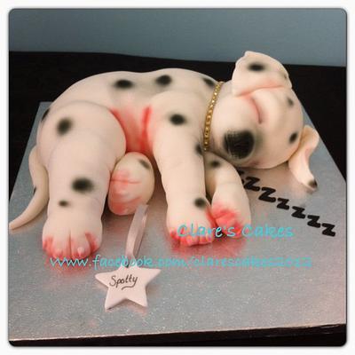 Spotty the dog - Cake by Clare's Cakes - Leicester