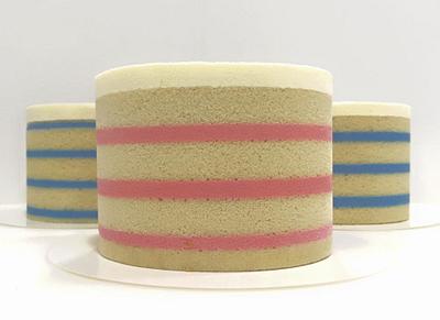 Decorated Entremet Cakes - the alternative to fondant - Cake by Ponona Cakes - Elena Ballesteros